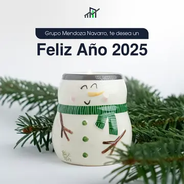 Pieza 9 del feed de Grupo Mendoza Navarro